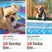 365 Dogs 2027 Page-A-Day Calendar