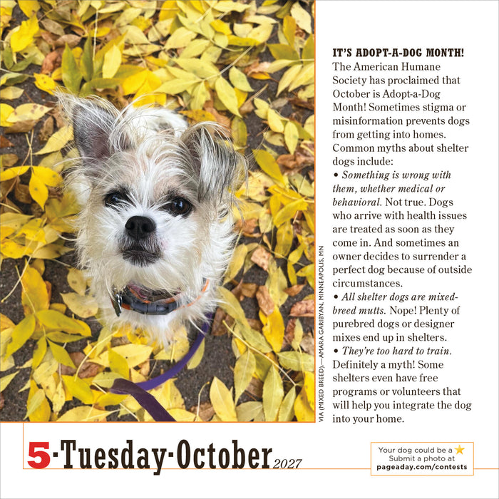 365 Dogs 2027 Page-A-Day Calendar