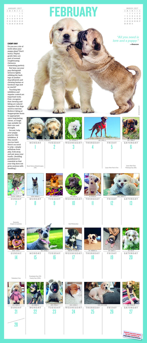 365 Puppies a Year Picture A Day 2027 Large Wall Calendar
