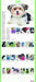 365 Puppies a Year Picture A Day 2027 Large Wall Calendar