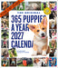 365 Puppies a Year Picture A Day 2027 Large Wall Calendar
