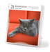 Cat Gallery 2027 Page-A-Day Calendar