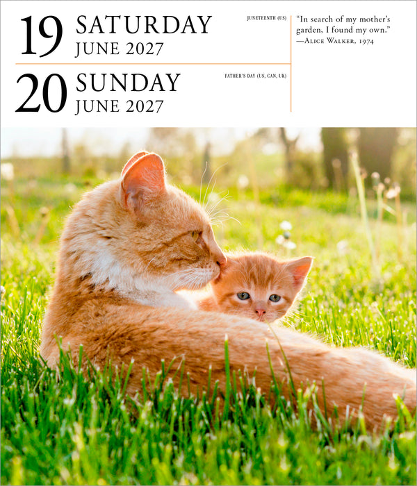 Cat Gallery 2027 Page-A-Day Calendar