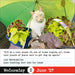 Bad Cat 2027 Page-A-Day Calendar