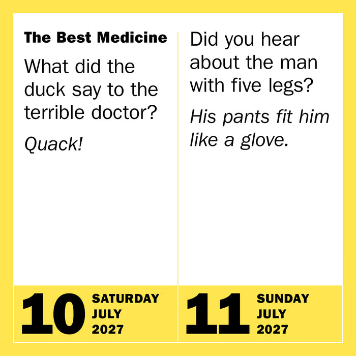 290 Bad Jokes and 75 Punderful 2027 Page-A-Day Calendar