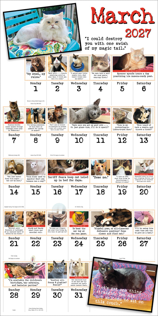 Bad Cat 2027 Square Wall Calendar