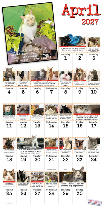 Bad Cat 2027 Square Wall Calendar