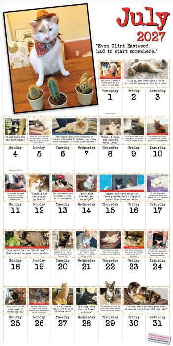 Bad Cat 2027 Square Wall Calendar
