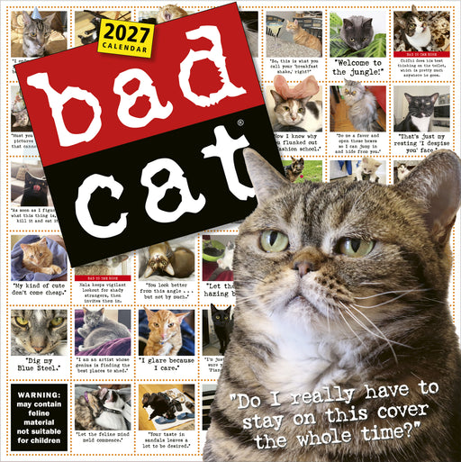 Bad Cat 2027 Square Wall Calendar
