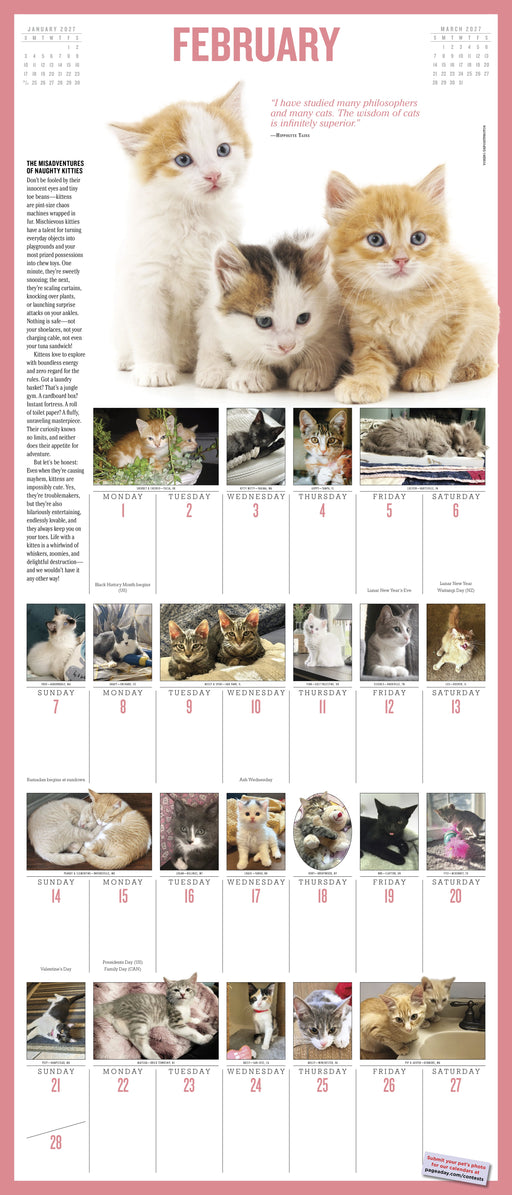 365 Kittens A Year 2027 Large Wall Calendar