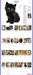 365 Kittens A Year 2027 Large Wall Calendar
