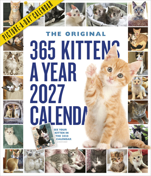 365 Kittens A Year 2027 Large Wall Calendar