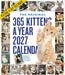 365 Kittens A Year 2027 Large Wall Calendar