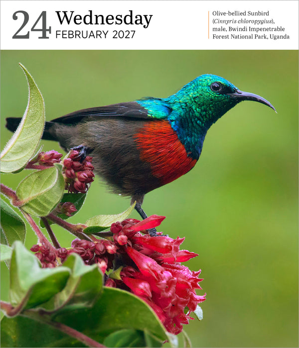 Audubon Nature Gallery 2027 Page-A-Day Calendar (Online Exclusive)