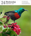 Audubon Nature Gallery 2027 Page-A-Day Calendar (Online Exclusive)