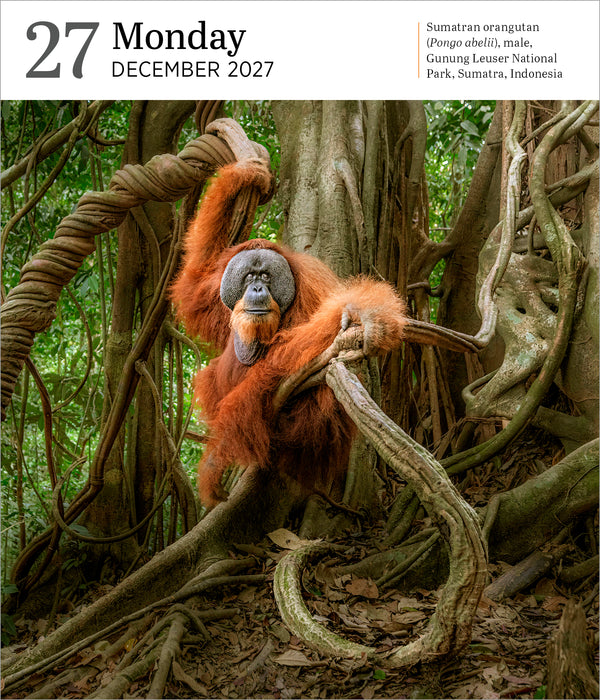 Audubon Nature Gallery 2027 Page-A-Day Calendar (Online Exclusive)