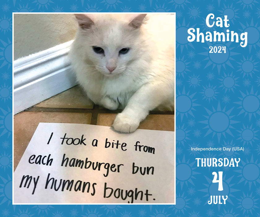2024 Cat Shaming PageADay — Calendar Club