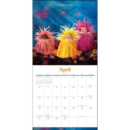 2025 Anne Geddes Wall Calendar