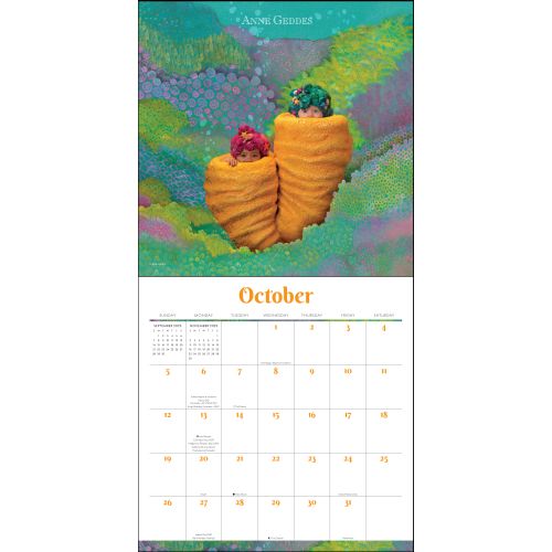 2025 Anne Geddes Wall Calendar