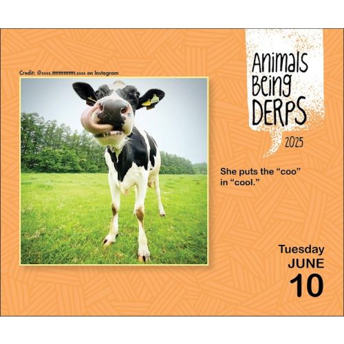 2025 Animals Being Derps Page-A-Day Calendar