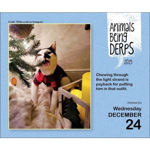 2025 Animals Being Derps Page-A-Day Calendar