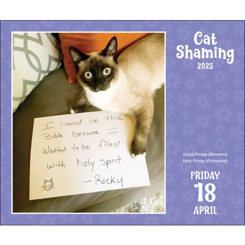 2025 Cat Shaming Page-A-Day Calendar