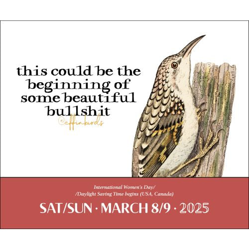 2025 Effin' Birds Page-A-Day Calendar