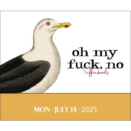 2025 Effin' Birds Page-A-Day Calendar