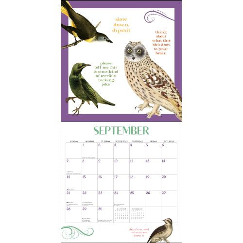 2025 Effin' Birds Wall Calendar