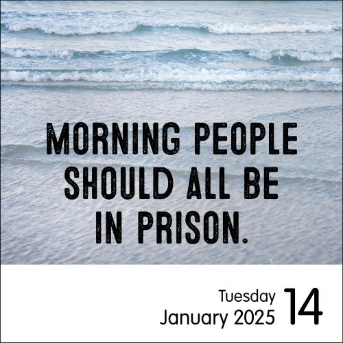 2025 Unspirational Page-A-Day Calendar