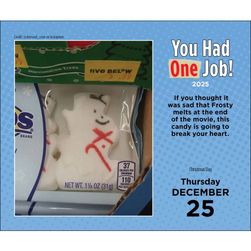 2025 You Had One Job Page-A-Day Calendar