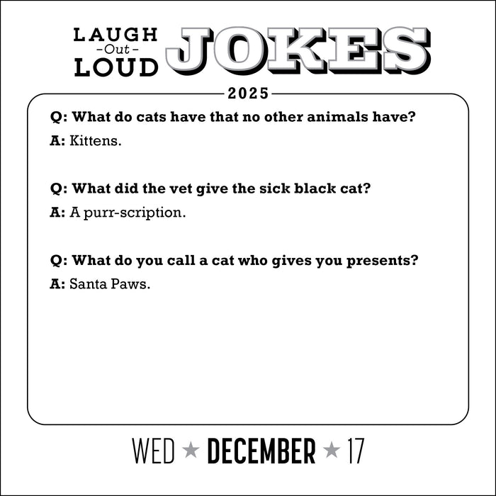 2025 Laugh-Out-Loud Jokes Page-A-Day Calendar