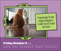 Cats Are Cheaper Than Therapy 2026 Page-A-Day Calendar
