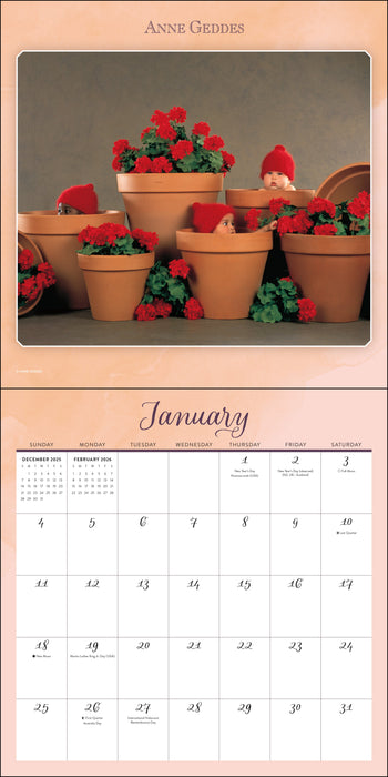 Anne Geddes 2026 Square Wall Calendar