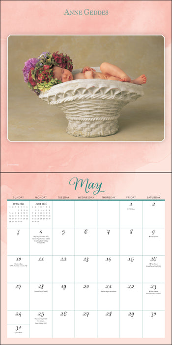 Anne Geddes 2026 Square Wall Calendar