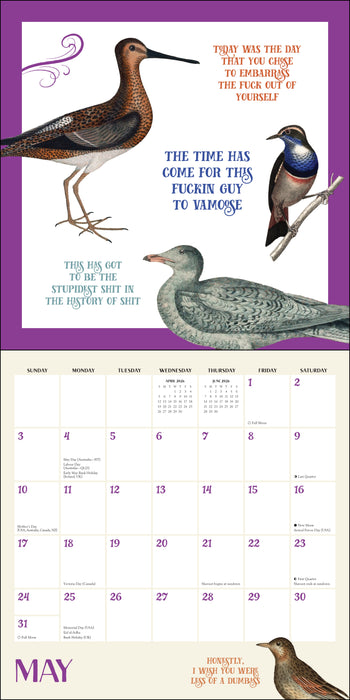 Effin' Birds 2026 Square Wall Calendar