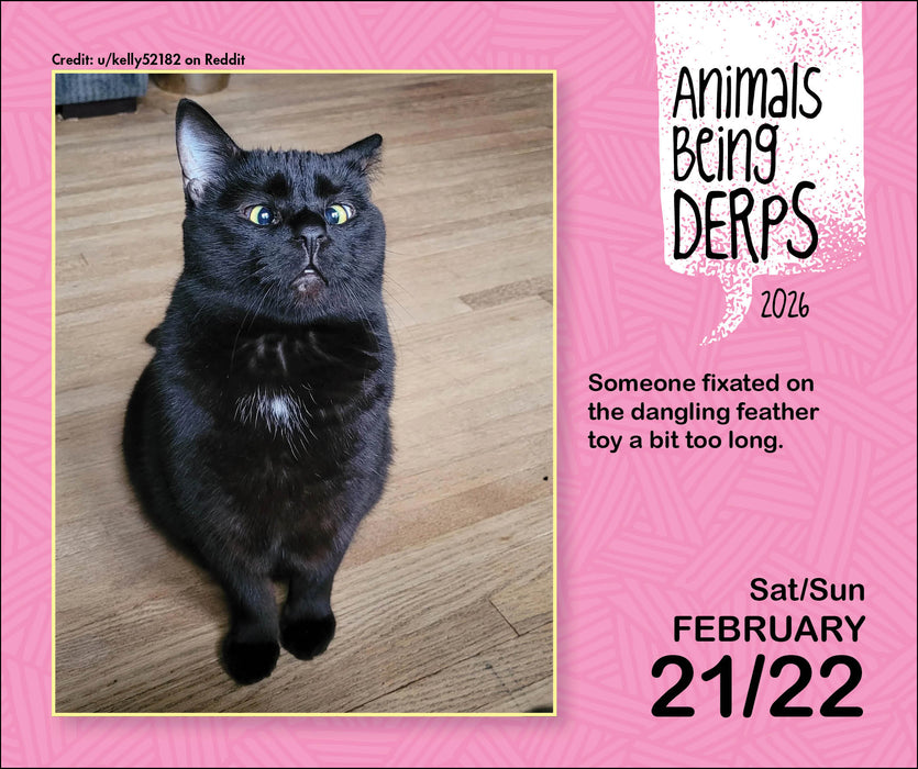 Animals Being Derps 2026 Page-A-Day Calendar