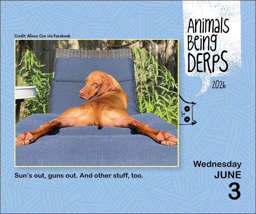 Animals Being Derps 2026 Page-A-Day Calendar