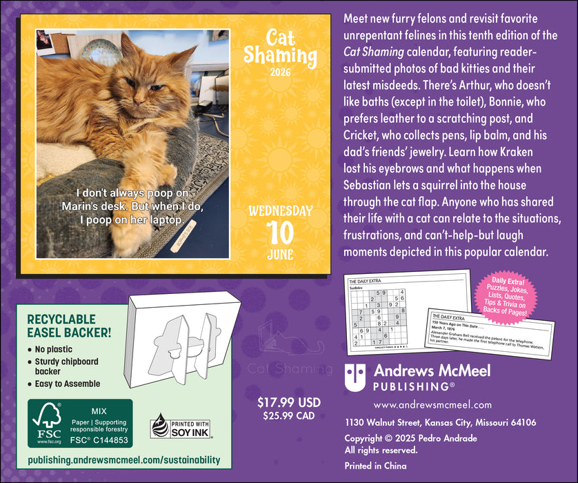 Cat Shaming 2026 Page-A-Day Calendar