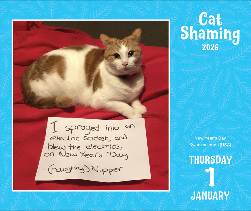 Cat Shaming 2026 Page-A-Day Calendar