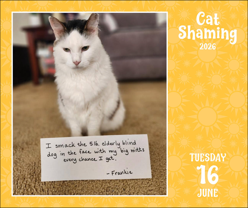 Cat Shaming 2026 Page-A-Day Calendar