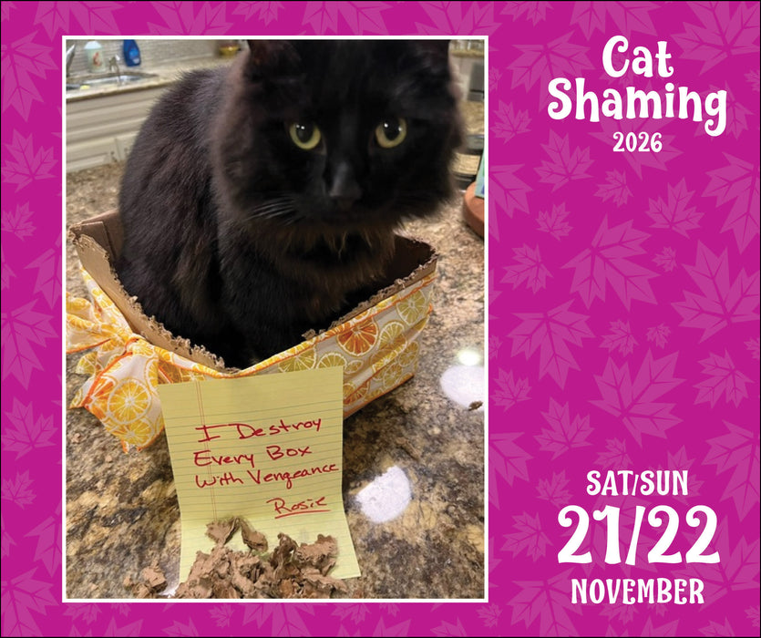 Cat Shaming 2026 Page-A-Day Calendar