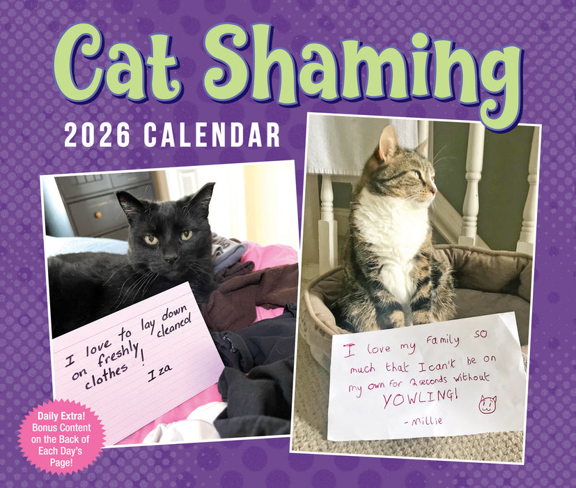 Cat Shaming 2026 Page-A-Day Calendar