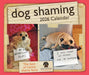 Dog Shaming 2026 Page-A-Day Calendar
