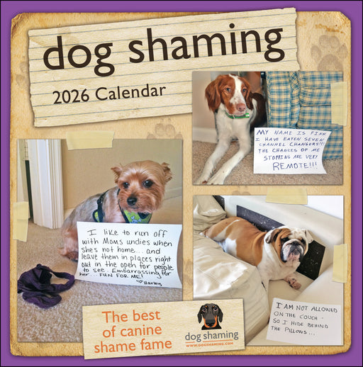 Dog Shaming 2026 Square Wall Calendar