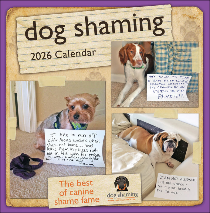 Dog Shaming 2026 Square Wall Calendar