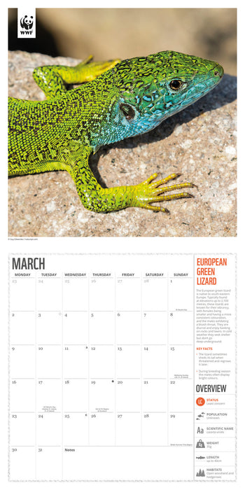 WWF Amazing Wildlife 2026 Square Wall Calendar