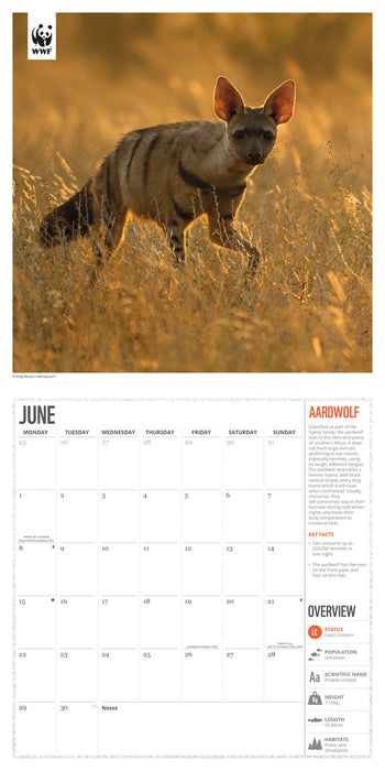 WWF Amazing Wildlife 2026 Square Wall Calendar