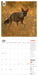 WWF Amazing Wildlife 2026 Square Wall Calendar