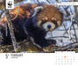 WWF Natural World 2026 Page-A-Day Calendar